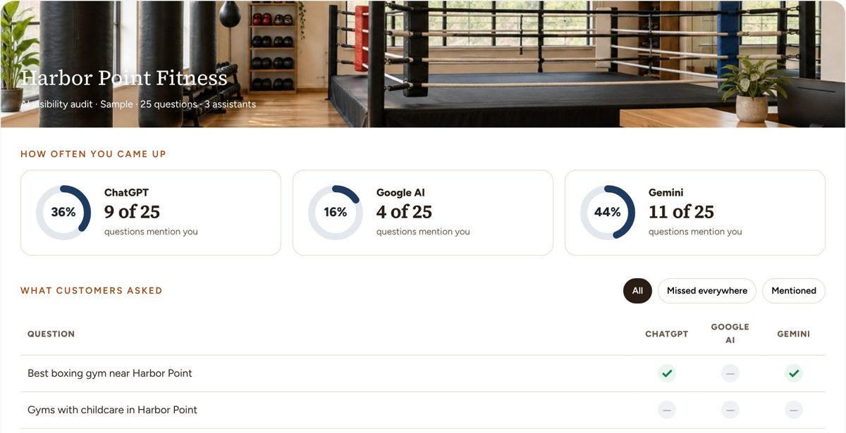 Screenshot: AI visibility audit